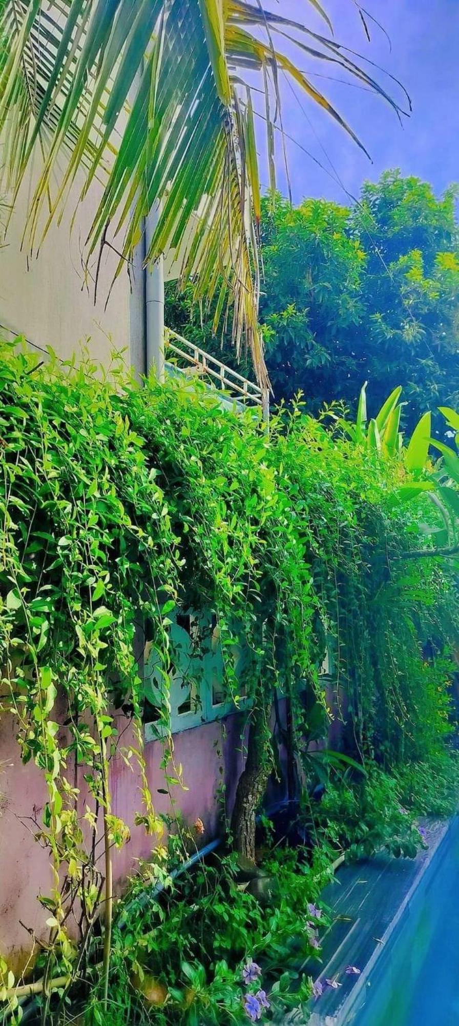 Mountain House Villa Hoi An