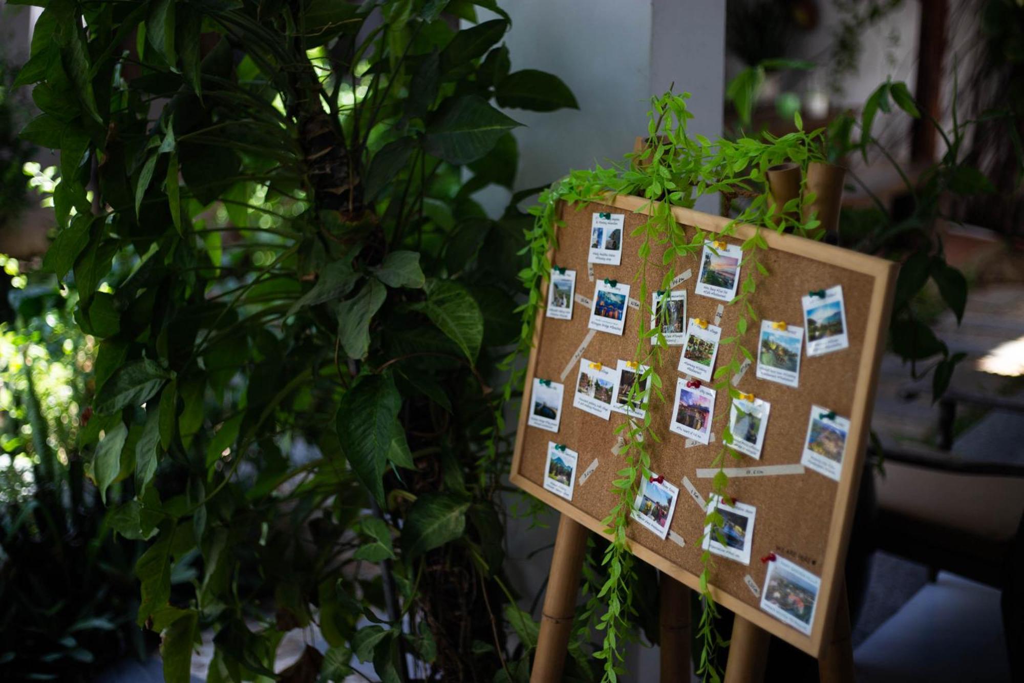 Fairy Garden 3*