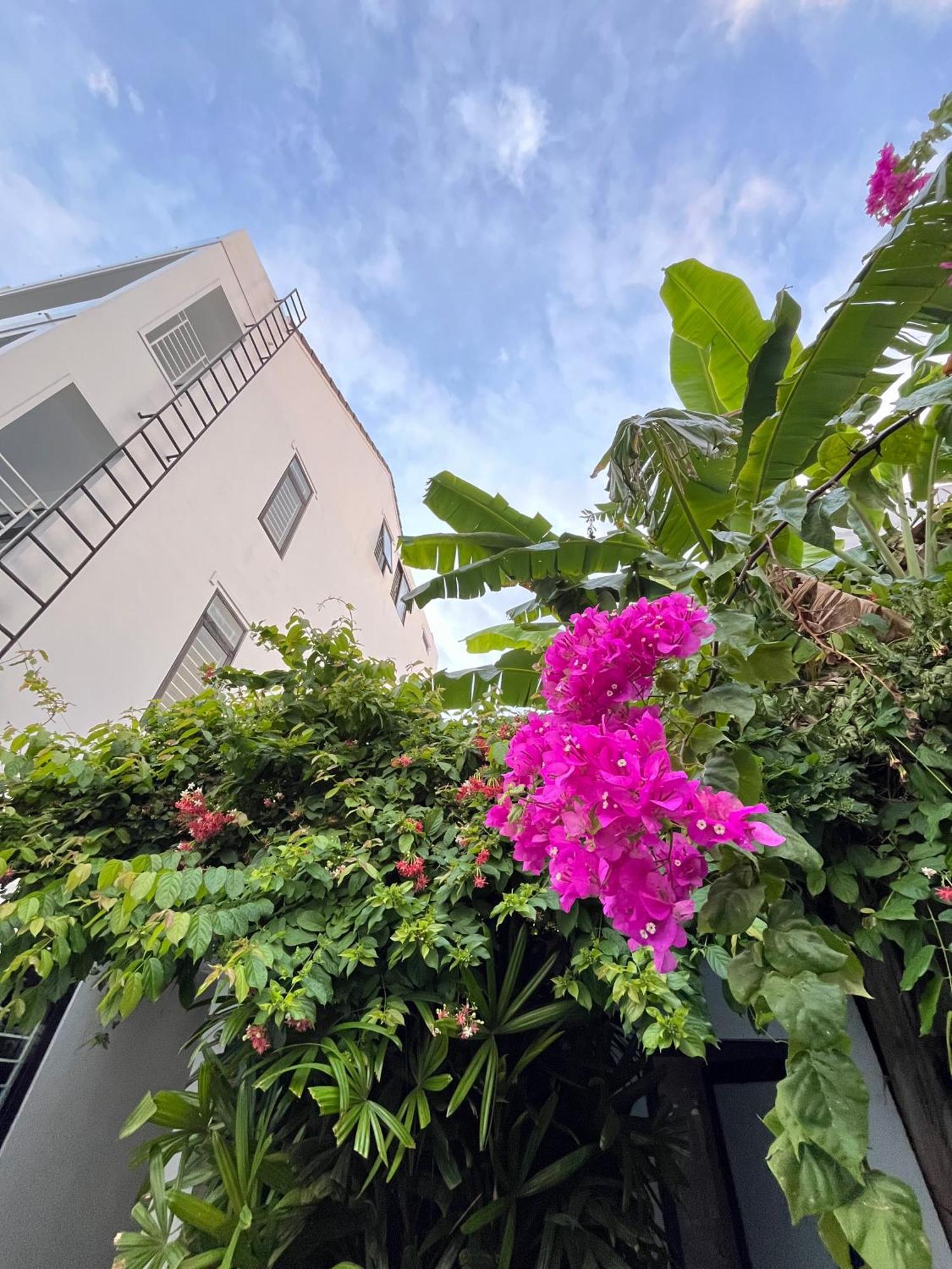 Villa Banana Garden *