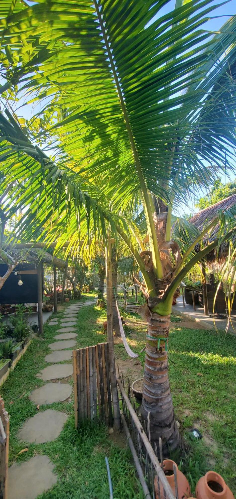 Farm Hoi An