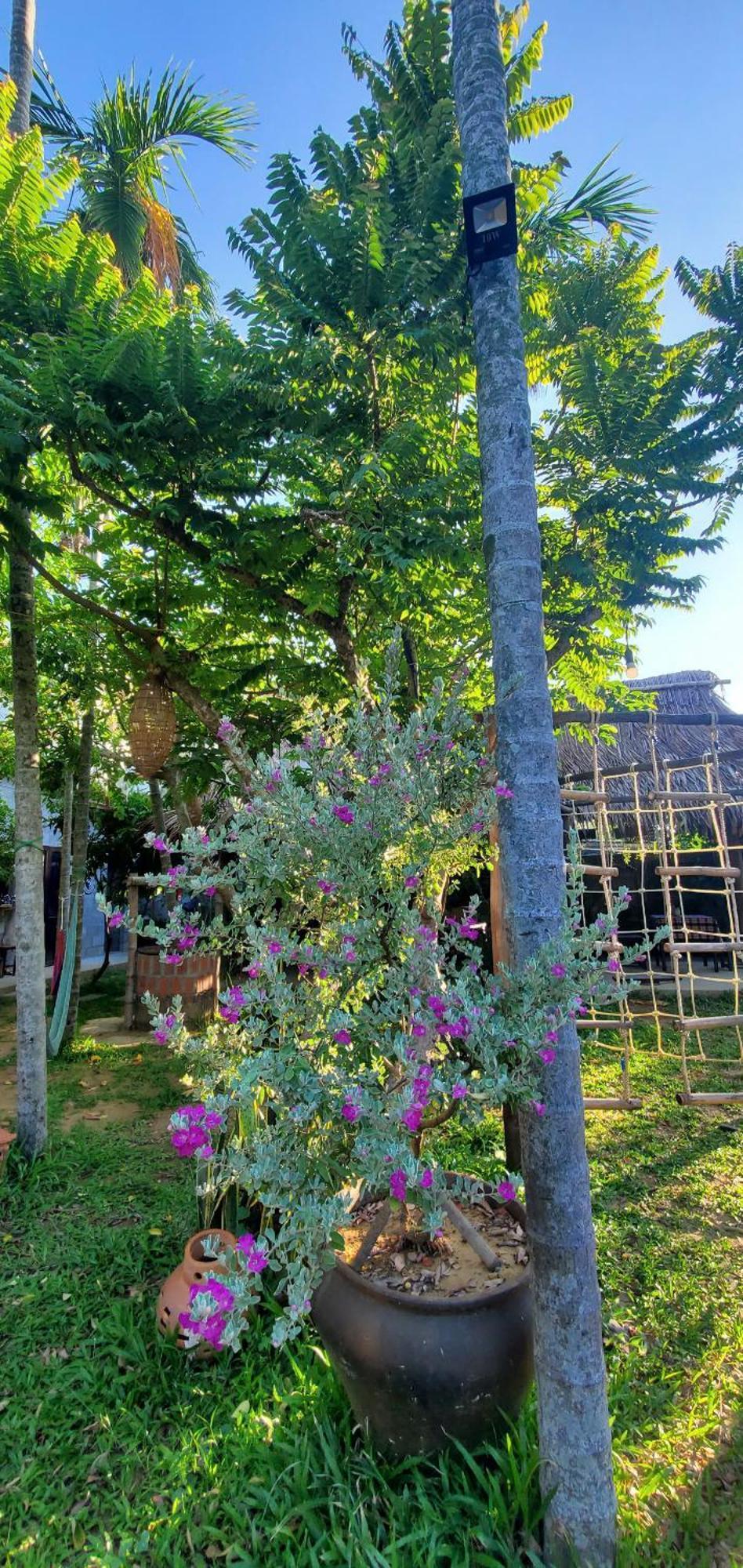 Farm Homestay Hoi An