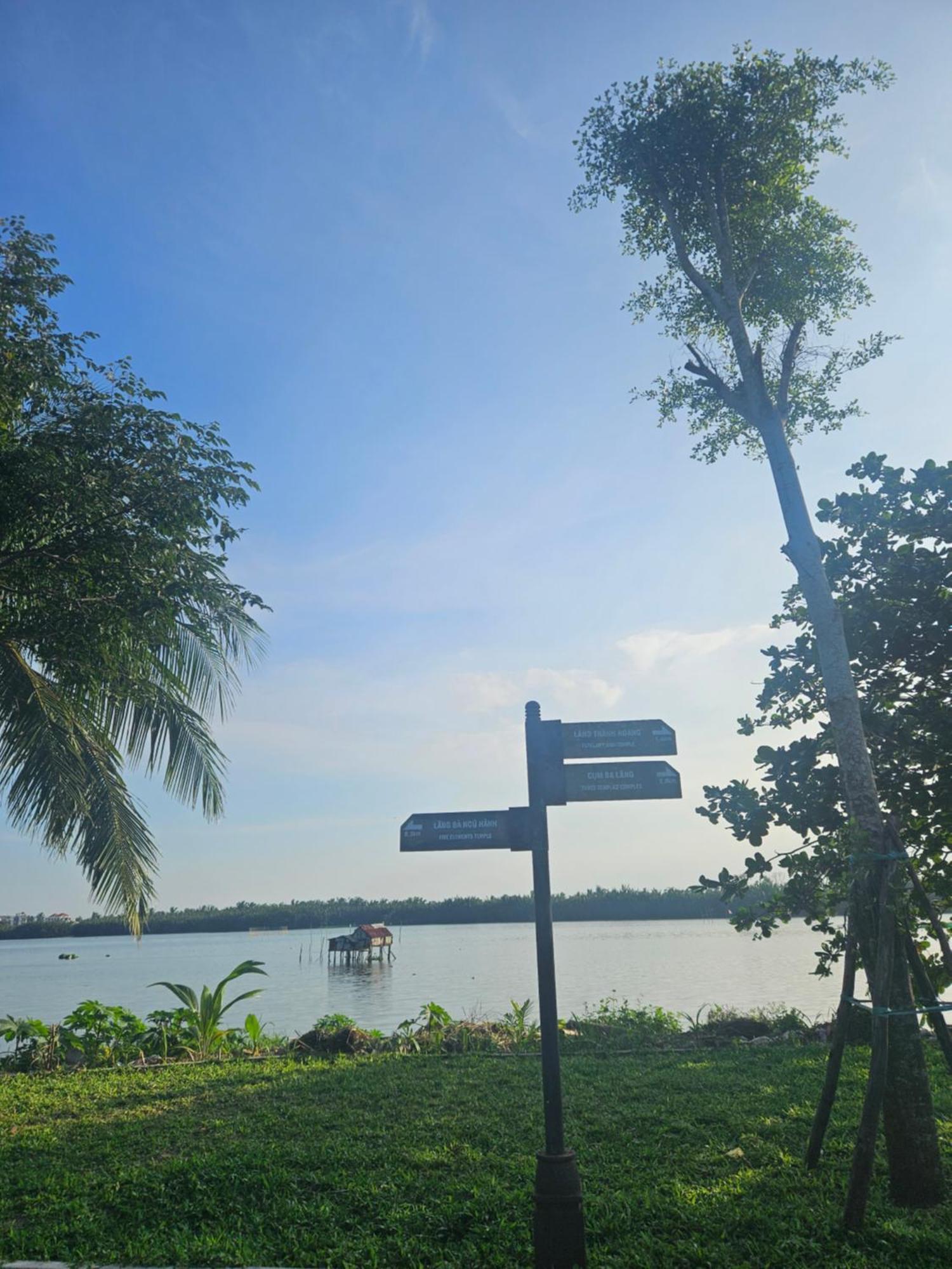 Milk Fruit - An Bang Homestay *