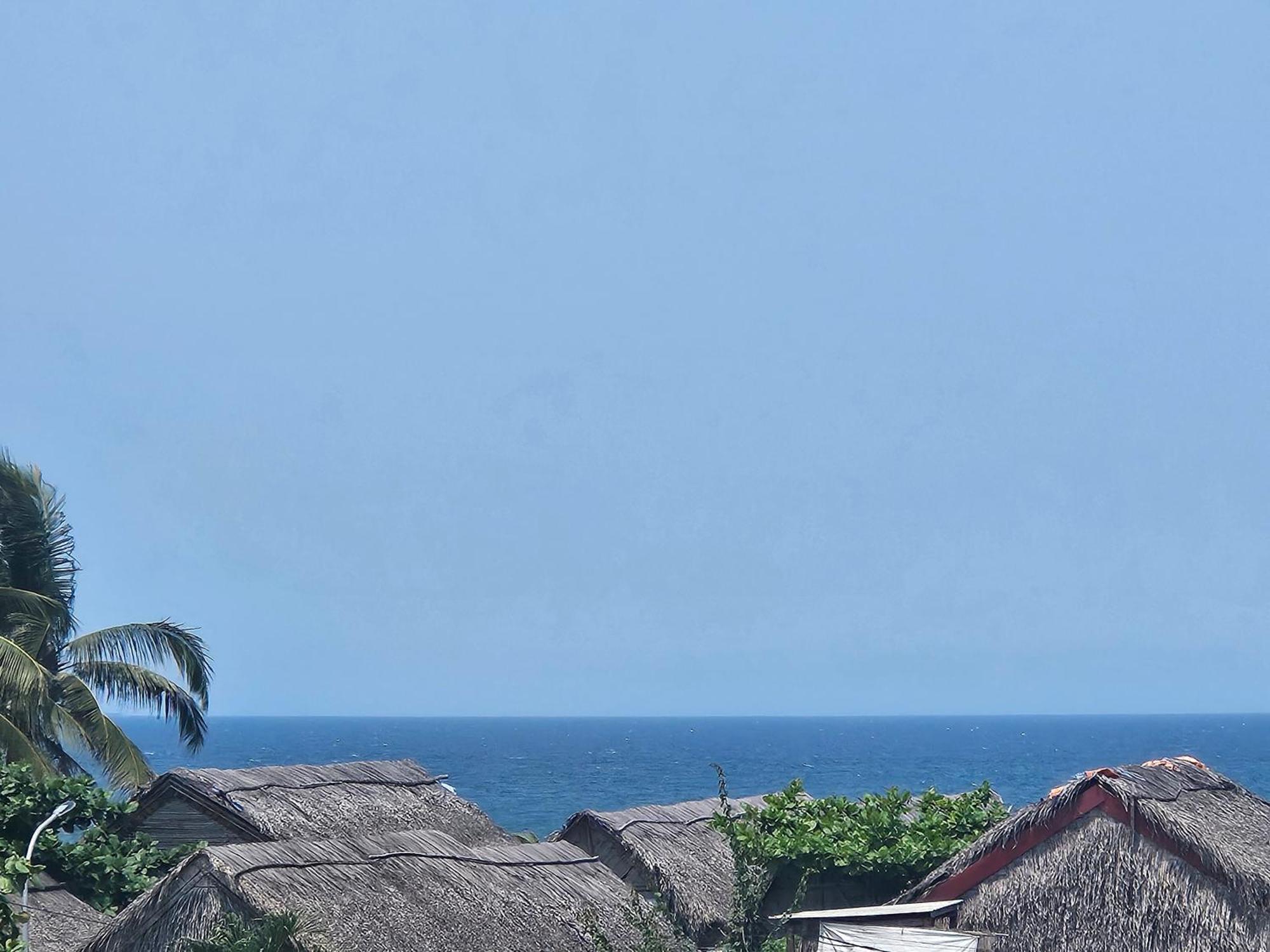 Milk Fruit - An Bang Homestay Hoi An