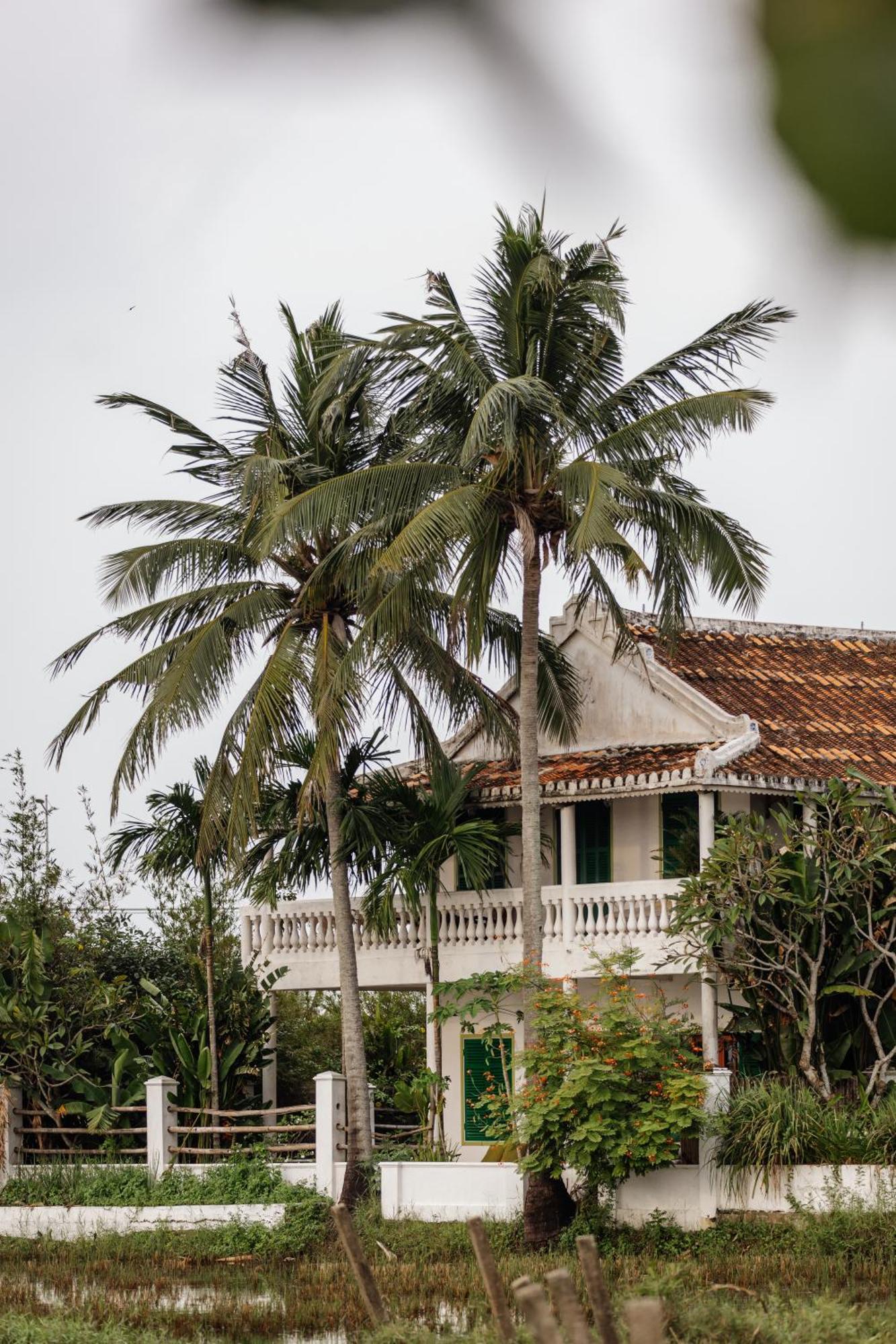Heron House