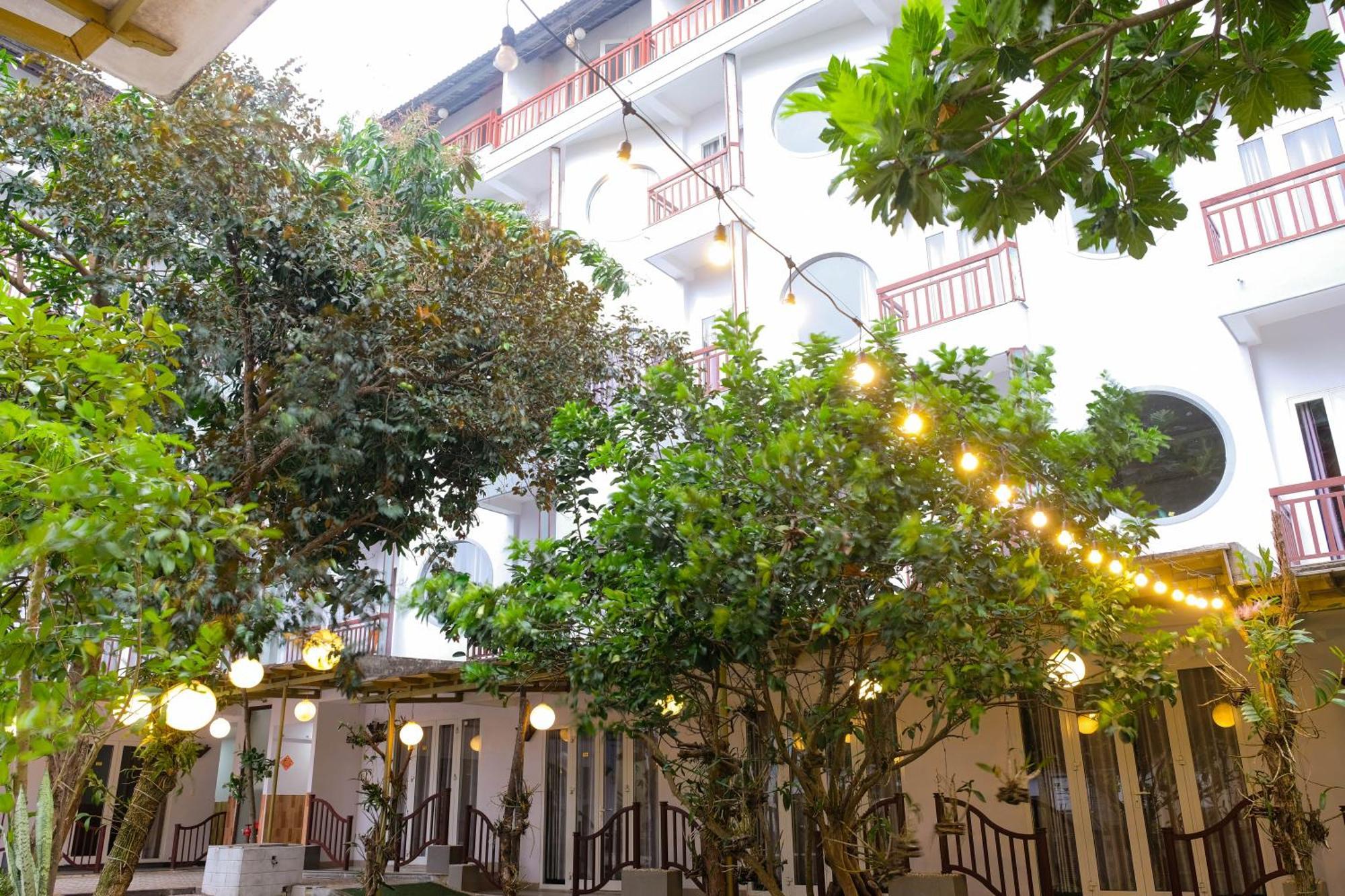 Hotel Paradise 3*