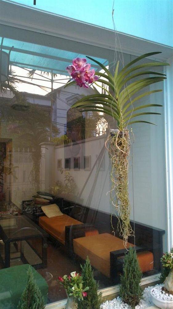 Homestay Flower Garden *