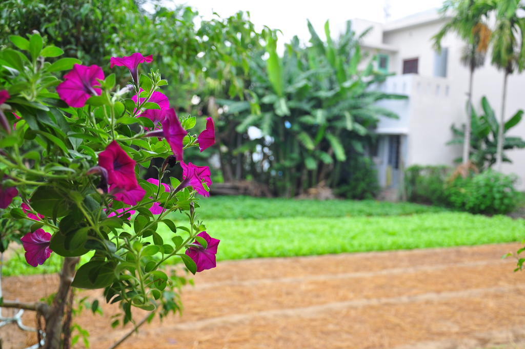 Homestay Petunia Garden And