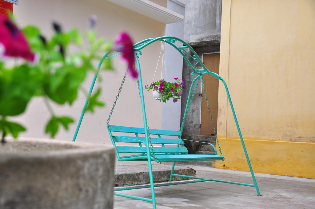 Homestay Petunia Garden And