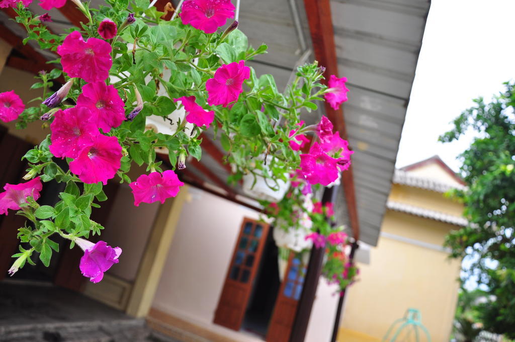 Homestay Petunia Garden And Hoi An