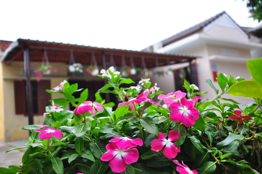 Homestay Petunia Garden And Hoi An
