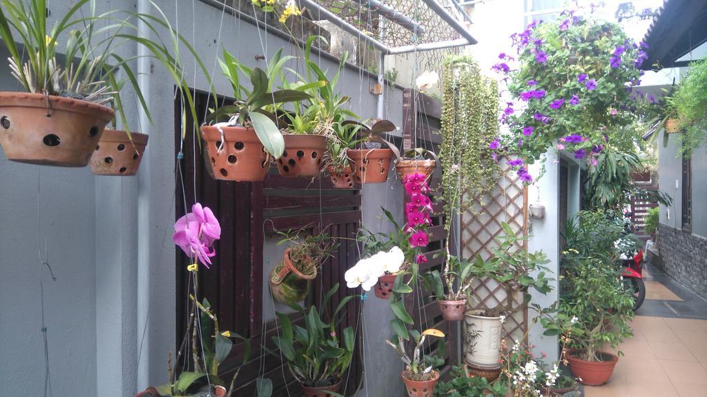 Green Coco Homestay