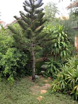 Tan Thanh Garden Homestay