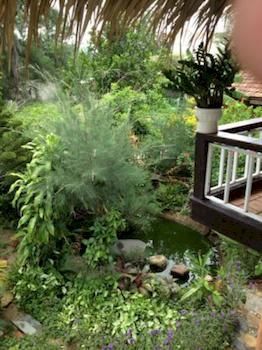 Tan Thanh Garden Homestay *