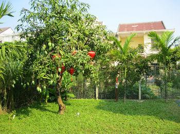Botanic Garden *