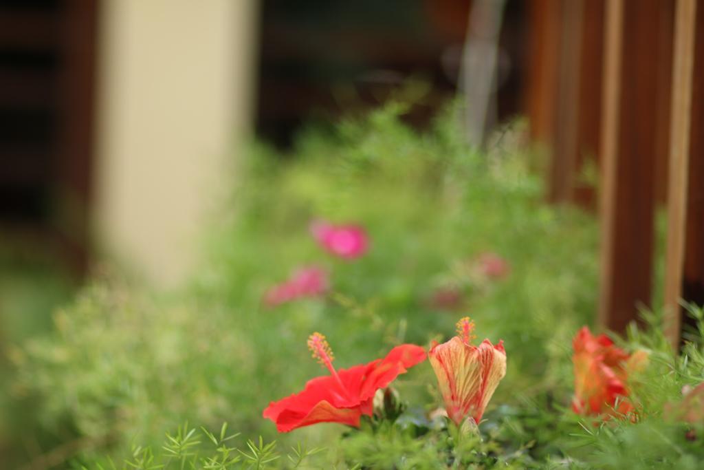 Hotel Long Life Riverside Hoi An
