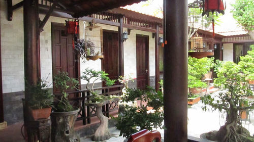 Bonsai Hotel Hoi An