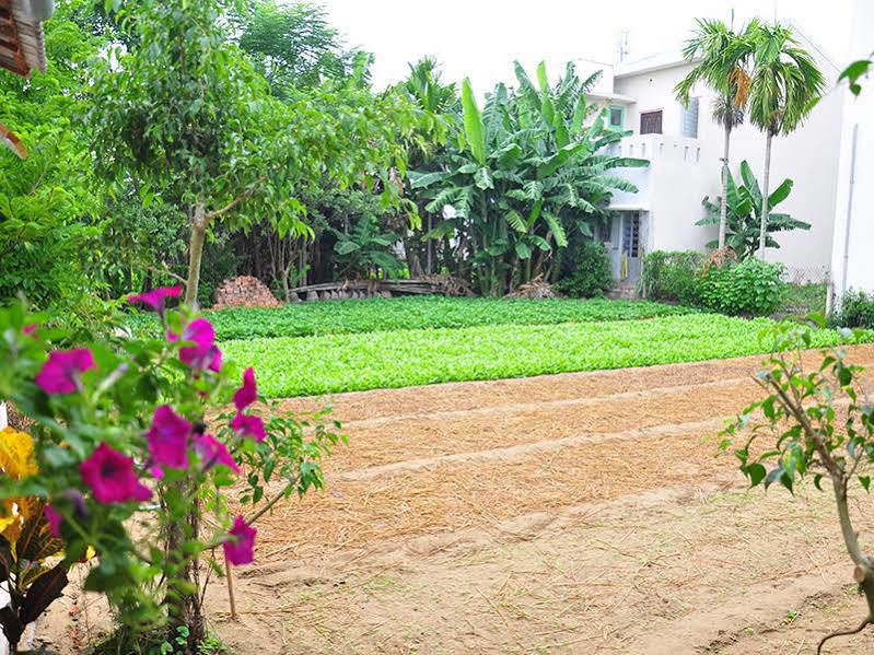Petunia Garden And * Hoi An