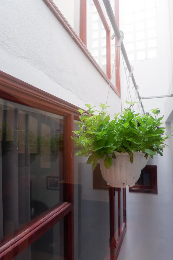 Homestay White Lion House