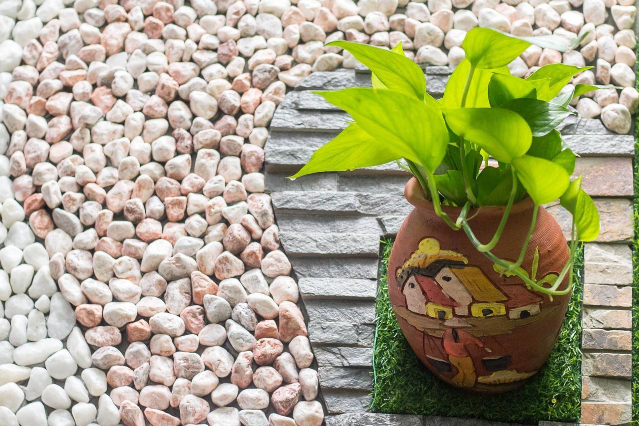 Homestay Bean Grass Hoi An