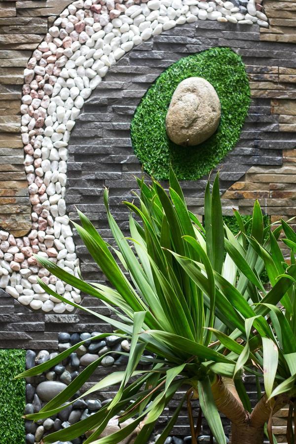 Homestay Bean Grass *