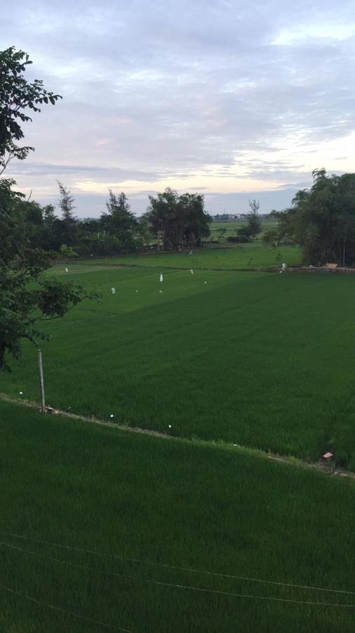 Bi's House Homestay Hoi An