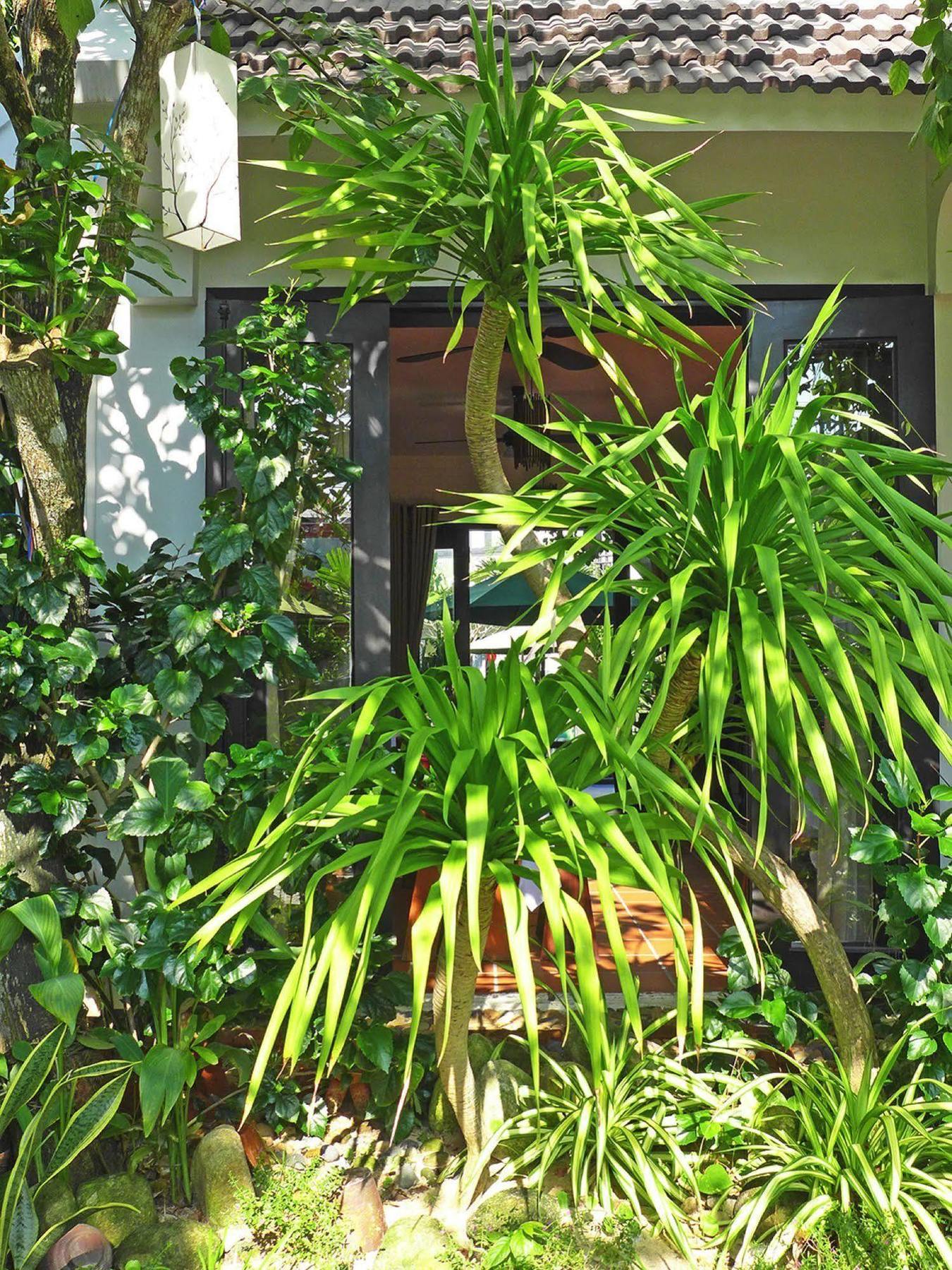 East West Hội An