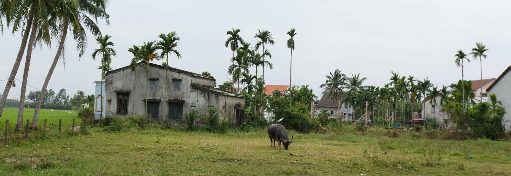 Lama Villa Hoi An Hoi An
