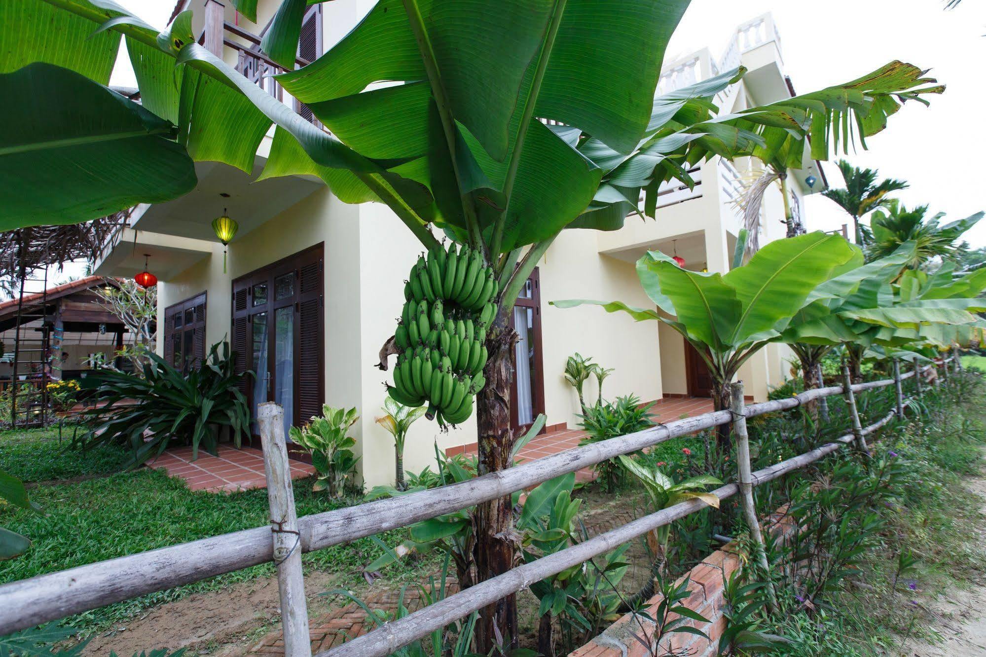 Villa Lama Villa Hoi An Hoi An