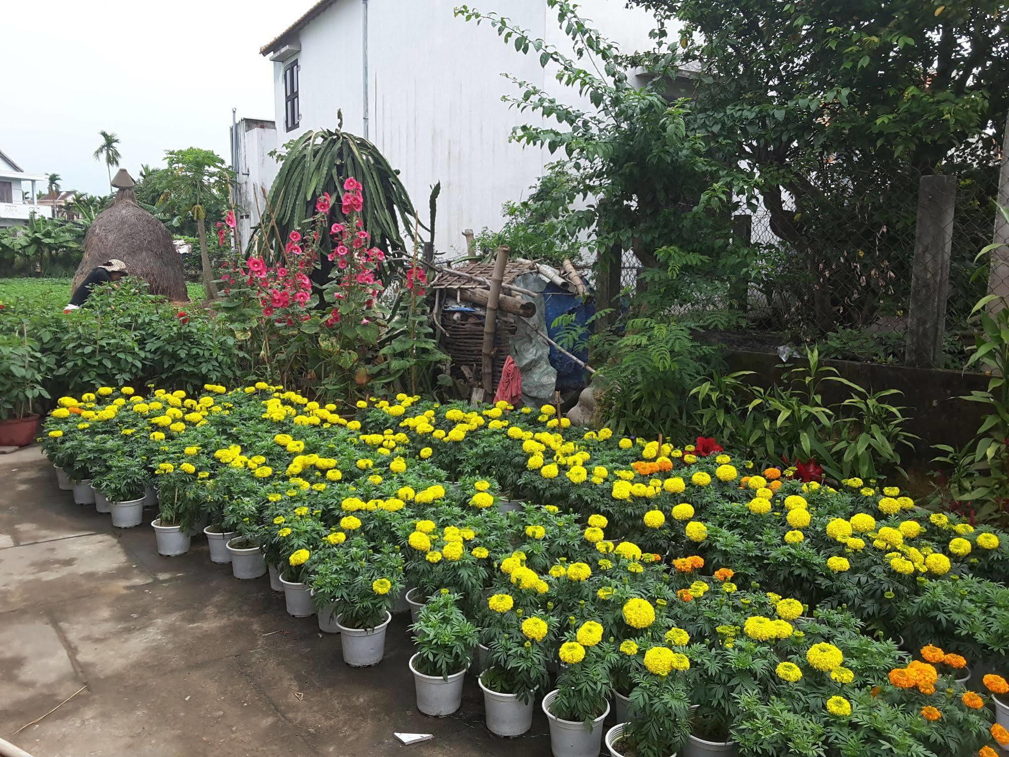 Golden Time Homestay
