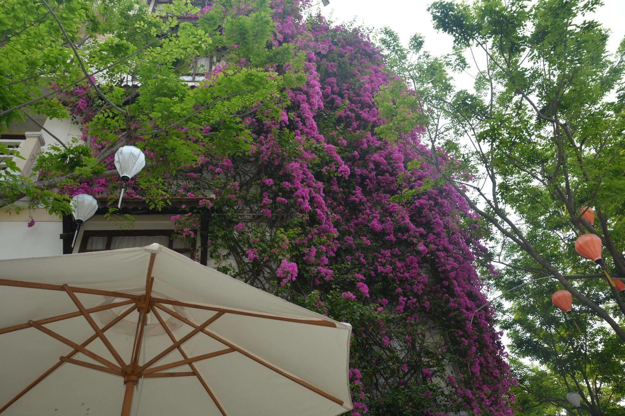 Golden & Hotel Hoi An