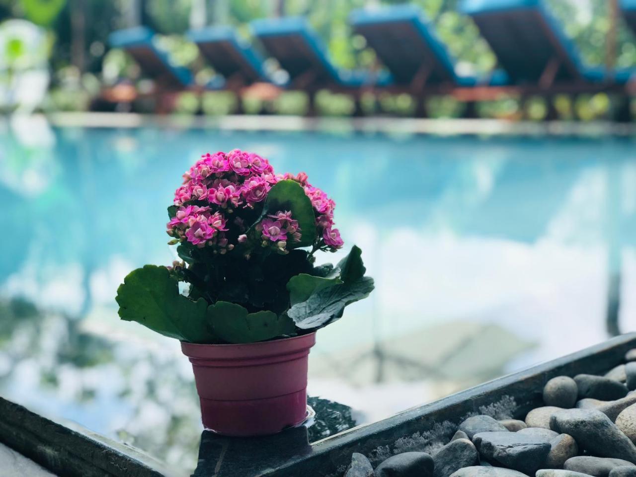 Villa Silverbell Hoi An