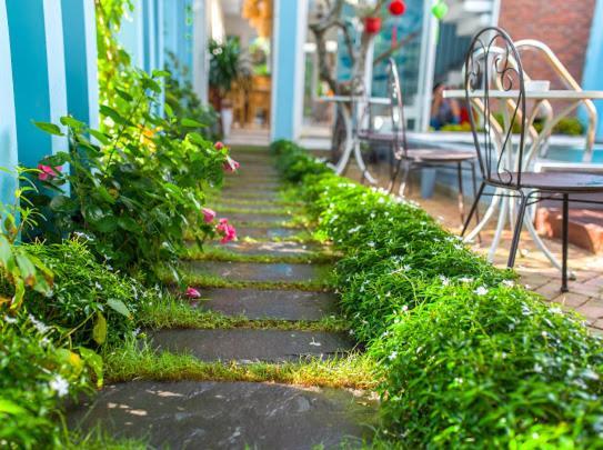 Bed & Breakfast Peach House