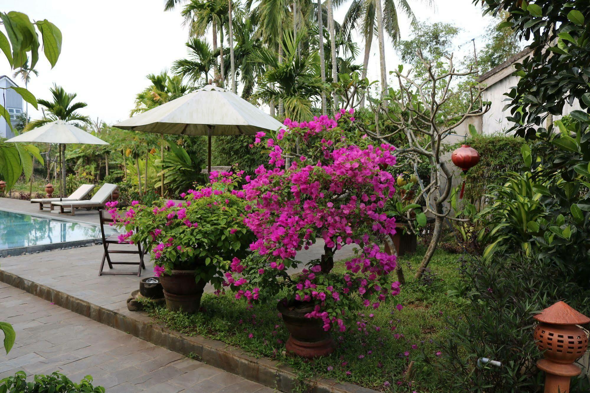 Areca Hoi An
