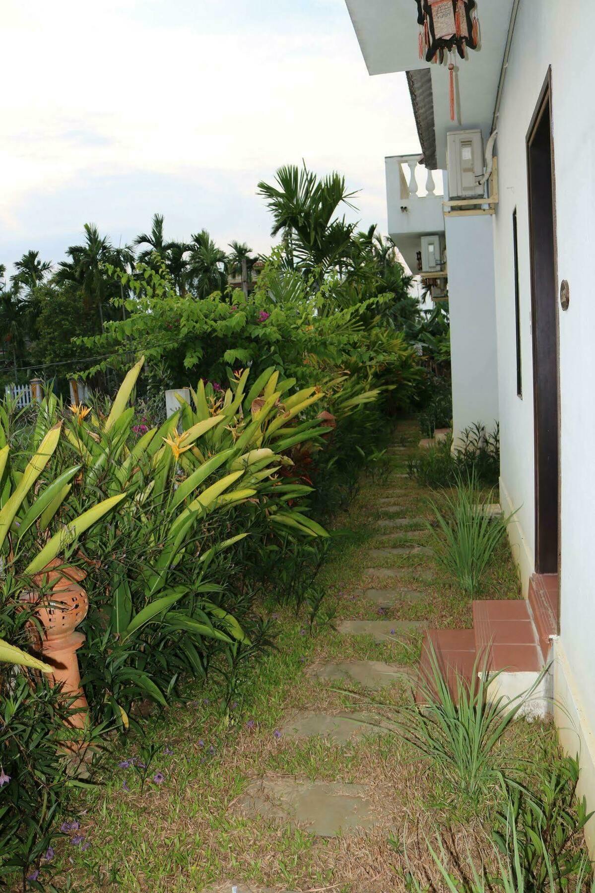 Areca Hoi An
