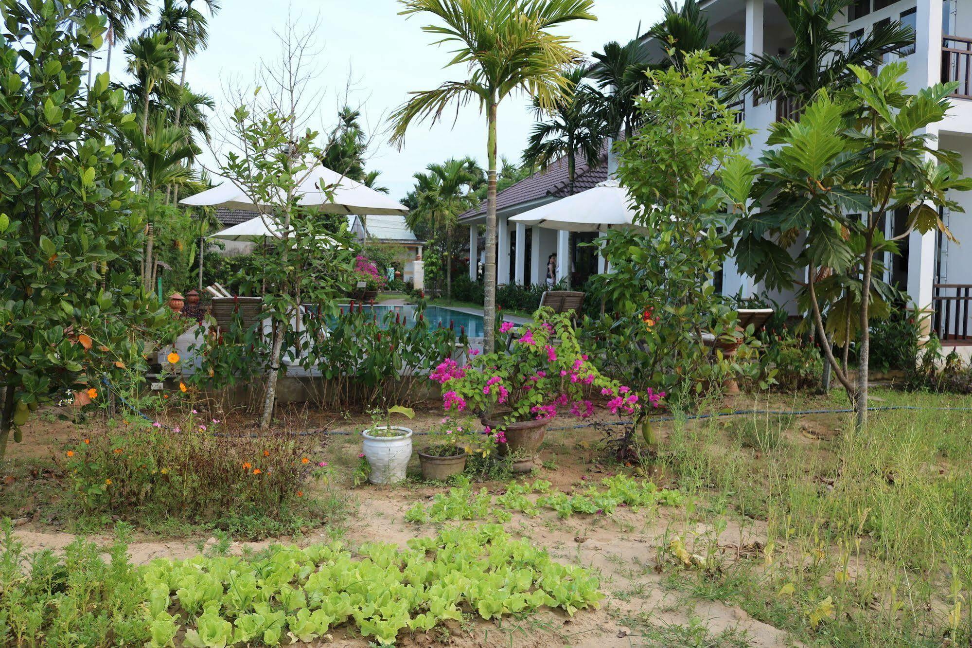 Areca Villa Hoi An
