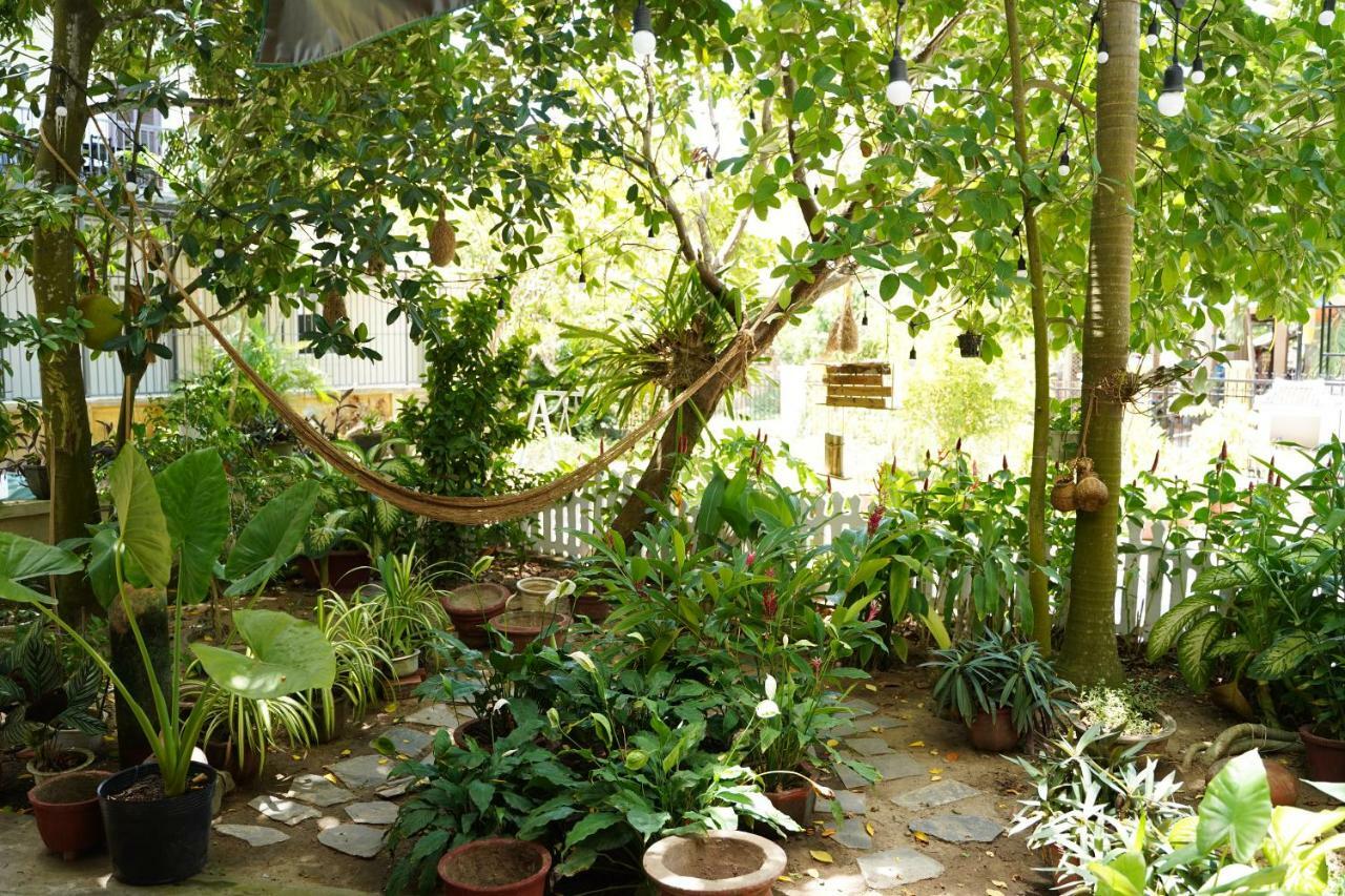 Longan Homestay *