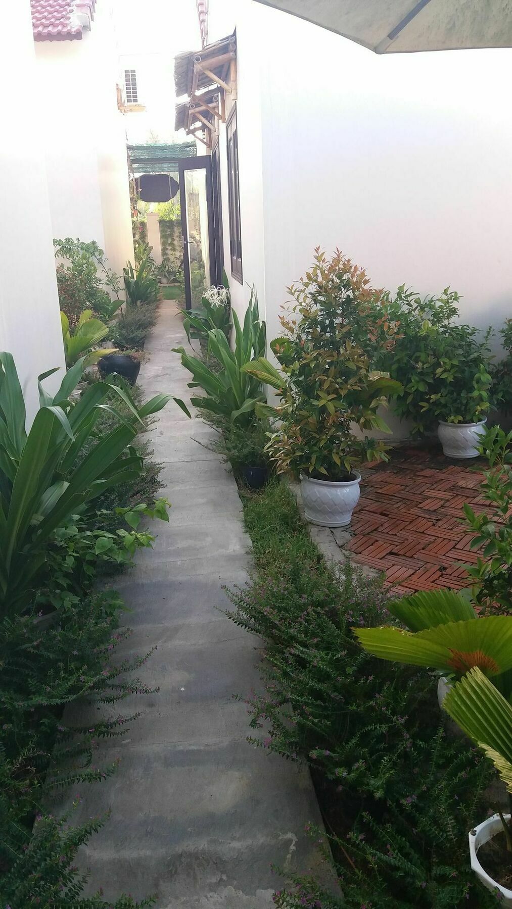 Lido Villa Hoi An
