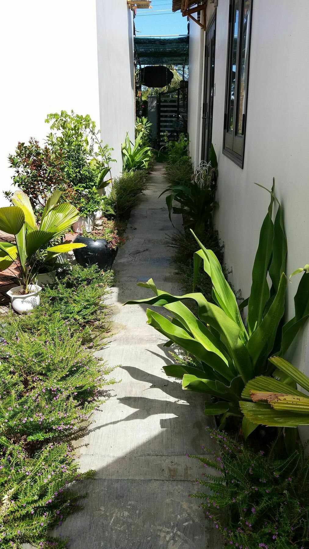 Lido Villa Villa *