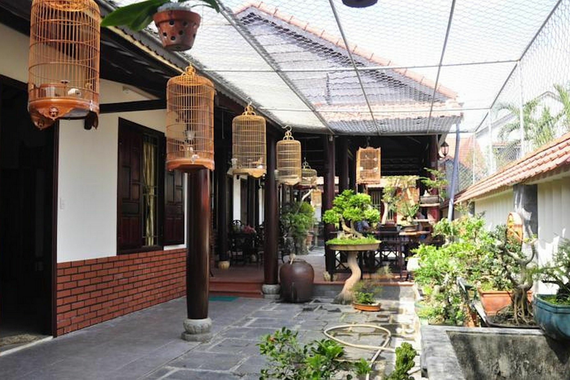Bonsai 2* Hoi An