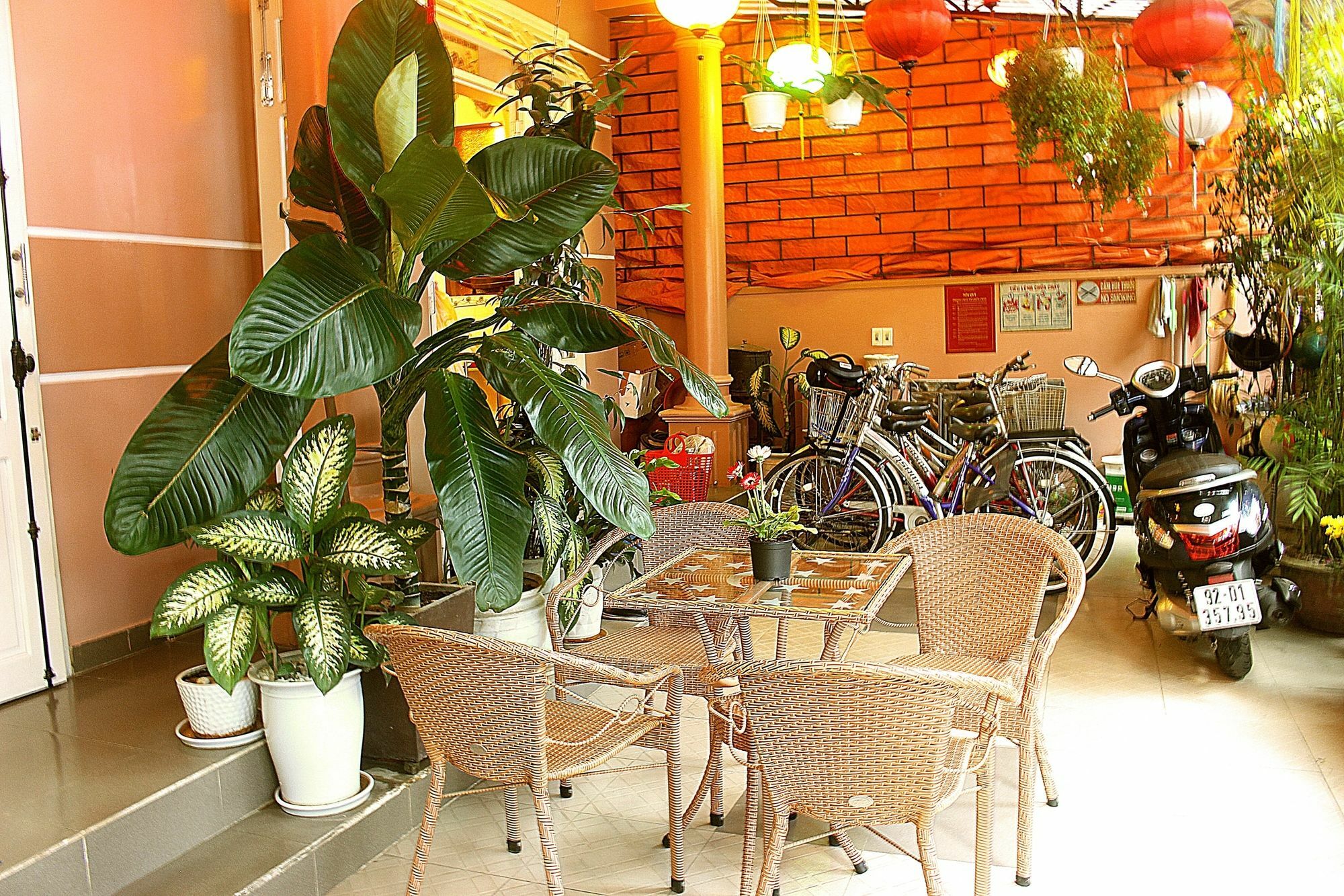 Hostel Quy Long *