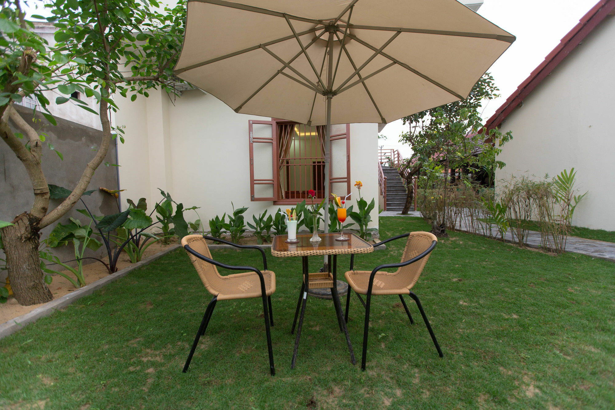 Homestay Herbal Tea Hoi An