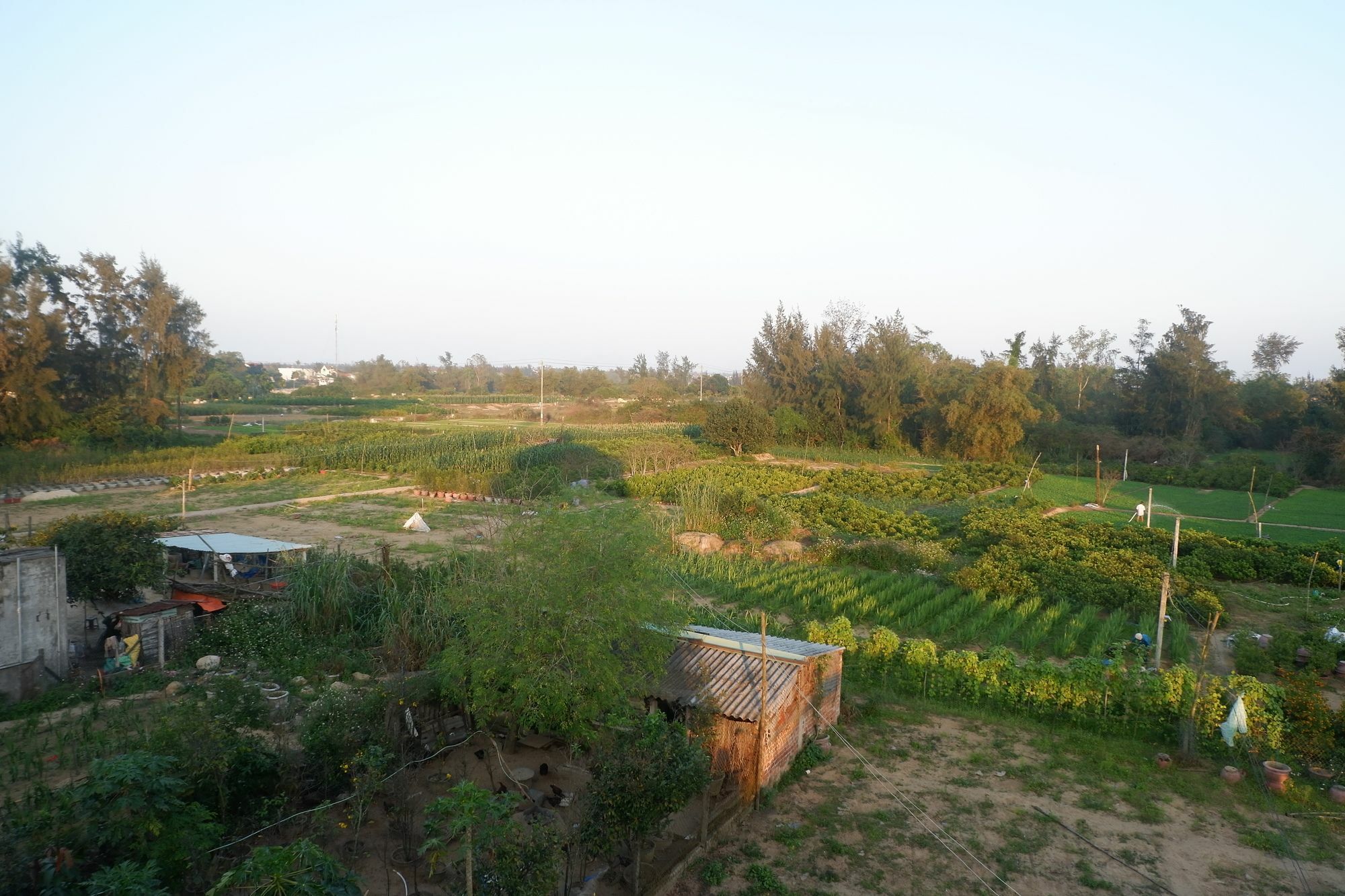 White Lion House Homestay *