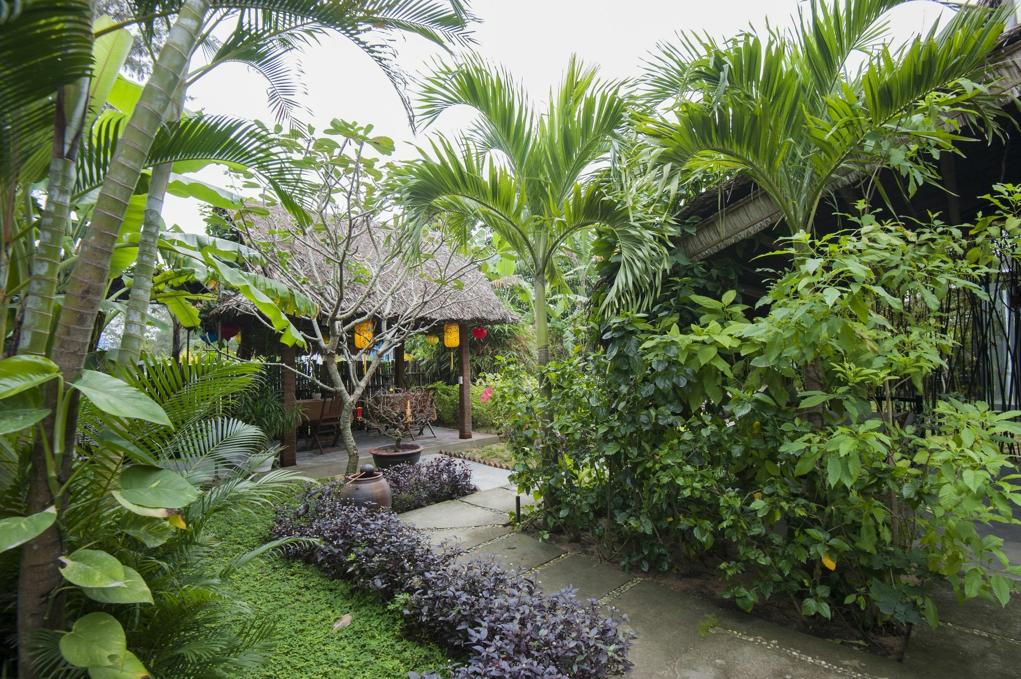 Homestay An Bang My Village