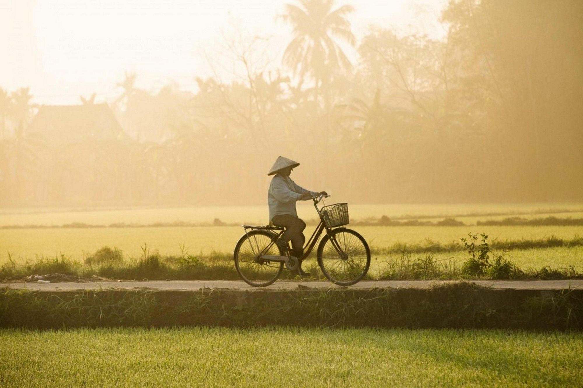 Homestay Cam Nam