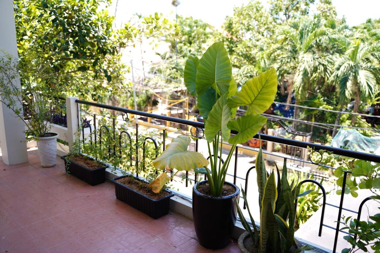 Homestay Longan *