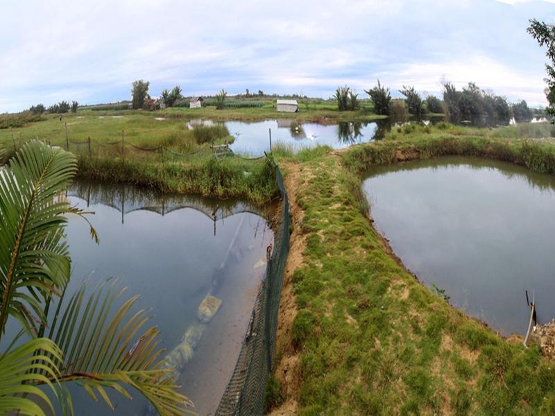 Homestay Windy River *