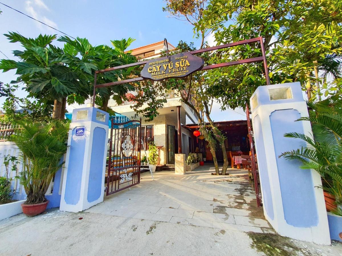 Milk Fruit - An Bang Homestay *