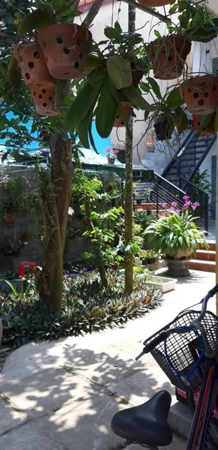 Kha Nguyen Apartment- Near Old Town Apartment Hoi An