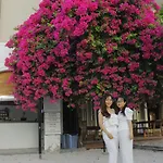 Cococha Villa-1001 Insta Photos (Adults Only)