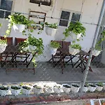 Green Garden House